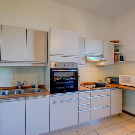 Blooming Cos View - Happy 贝尔吉拉泰