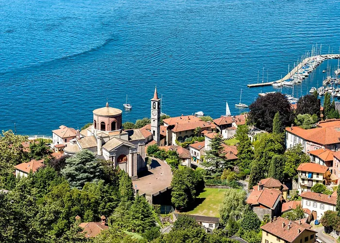 Blooming Cos View - Happy